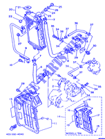 RADIATEUR / SLANG voor Yamaha DT80LC 1992
