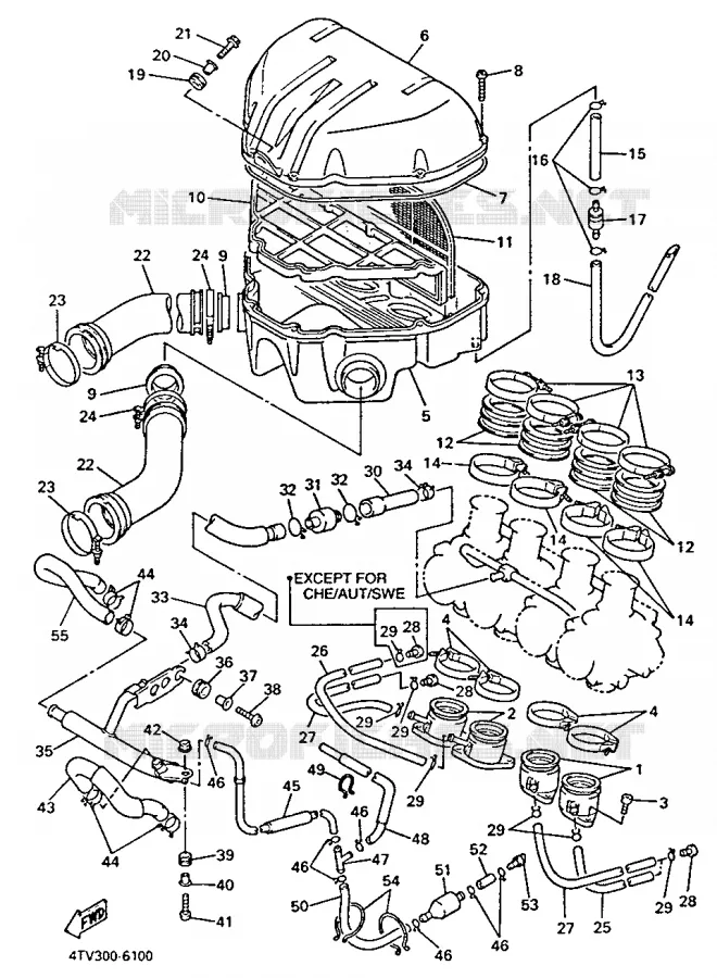 INLAAT Yamaha MOTO 600 1996 THUNDERCAT  YZF600R