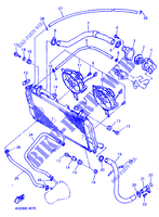 RADIATEUR / SLANG voor Yamaha YZF750R 1994
