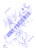 RADIATEUR / SLANG voor Yamaha YZF-R6 2001