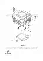 CILINDER voor Yamaha YFM400FW 2005