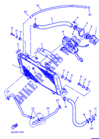 RADIATEUR / SLANG voor Yamaha FZR1000 1993
