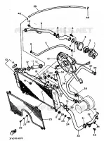 RADIATEUR / SLANG voor Yamaha FZR750R 1989