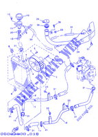 RADIATEUR / SLANG voor Yamaha YP125E 1998