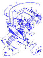 RADIATEUR / SLANG voor Yamaha YZF750R 1994