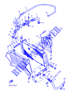 RADIATEUR / SLANG voor Yamaha FZ750 1986