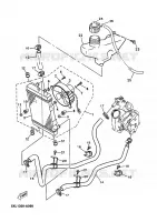 RADIATEUR / SLANG voor Yamaha YP125E 2003