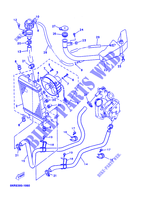 RADIATEUR / SLANG voor Yamaha YP125E 2002
