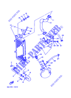 RADIATEUR / SLANG voor Yamaha DT125R 2000