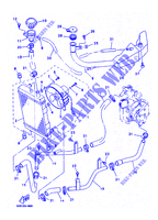 RADIATEUR / SLANG voor Yamaha YP125E 2000