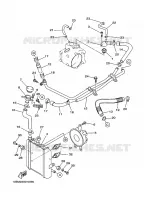 RADIATEUR / SLANG voor Yamaha YP250 2000