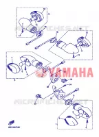 KNIPPERLICHT voor Yamaha FZ6S 2007