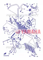 RADIATEUR / SLANG voor Yamaha FZ6S 2007