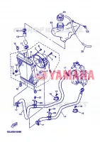 RADIATEUR / SLANG voor Yamaha YP125E 2007