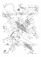 RADIATEUR / SLANG voor Yamaha DIVERSION 600 2009