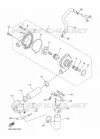 WATERPOMP / SLANGEN voor Yamaha DIVERSION 600 2009