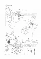 RADIATEUR / SLANG voor Yamaha VP250 2010