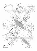 RADIATEUR / SLANG voor Yamaha XJ6 N ABS 2010