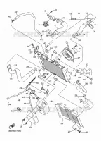 RADIATEUR / SLANG voor Yamaha XJ6 N ABS 2010
