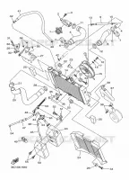 RADIATEUR / SLANG voor Yamaha XJ6 DIVERSION 2010
