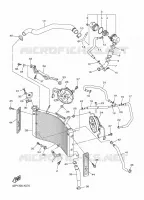 RADIATEUR / SLANG voor Yamaha FZ8SA 2011