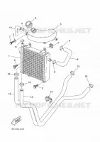 RADIATEUR / SLANG voor Yamaha YQ50L  2011