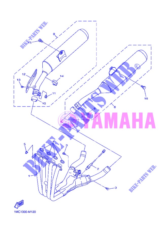 UITLAAT voor Yamaha FJR1300A 2013