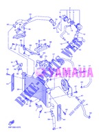 RADIATEUR / SLANG voor Yamaha FZ8N 2013