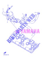 AIR INDUCTION SYSTEM AIS voor Yamaha FZ8N 2013