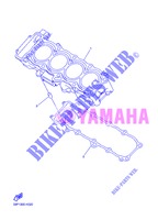 CILINDER voor Yamaha FZ8NA 2013