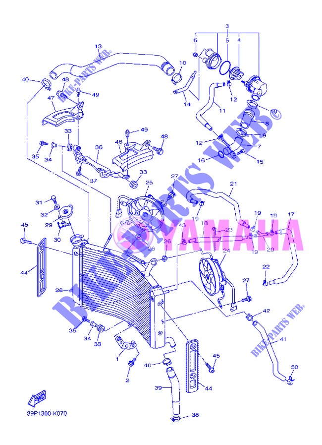 RADIATEUR / SLANG voor Yamaha FZ8NA 2013