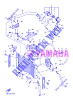 RADIATEUR / SLANG voor Yamaha FZ8NA 2013