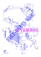RADIATEUR / SLANG voor Yamaha FZ8S 2013