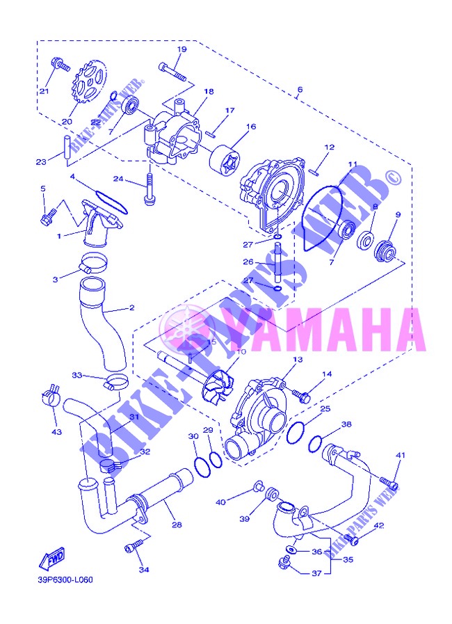 WATERPOMP / SLANGEN voor Yamaha FZ8S 2013