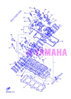 CILINDERKOP voor Yamaha FZ8S 2013