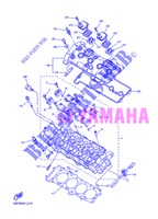 CILINDERKOP voor Yamaha FZ8SA 2013
