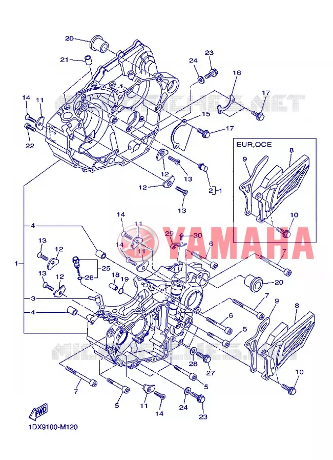 CARTERDELEN Yamaha MOTO 450 2013 WRF  WR450F