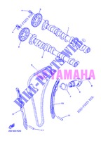 NOKKENAS / KETTING voor Yamaha XJ6N 2013