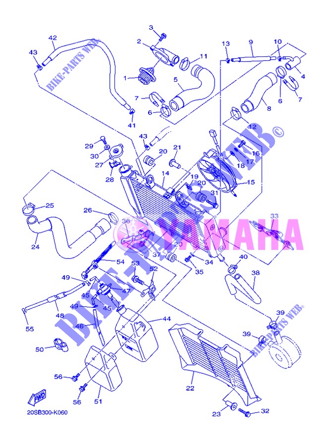 RADIATEUR / SLANG voor Yamaha XJ6N 2013