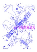 RADIATEUR / SLANG voor Yamaha XJ6NA 2013