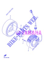 DYNAMO voor Yamaha XJ6NA 2013
