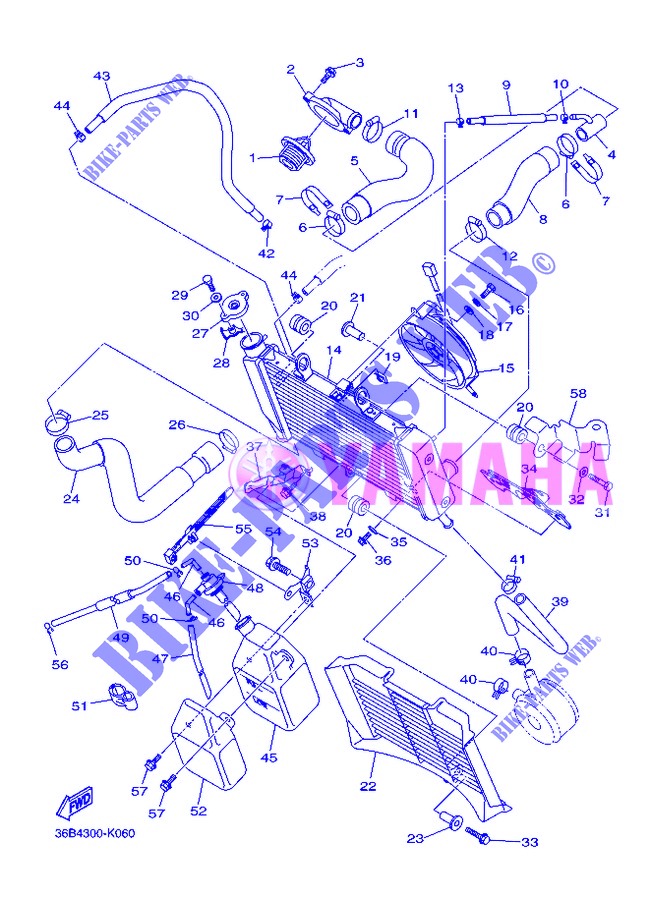 RADIATEUR / SLANG voor Yamaha XJ6NA 2013