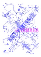 RADIATEUR / SLANG voor Yamaha DIVERSION 600 ABS 2013