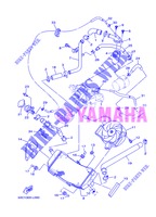 RADIATEUR / SLANG voor Yamaha XP500 2013