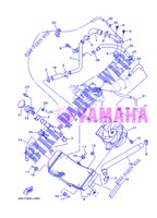 RADIATEUR / SLANG voor Yamaha XP500 2013