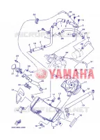 RADIATEUR / SLANG voor Yamaha XP500A 2013