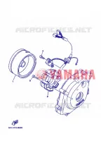 DYNAMO voor Yamaha YBR125EGS 2013