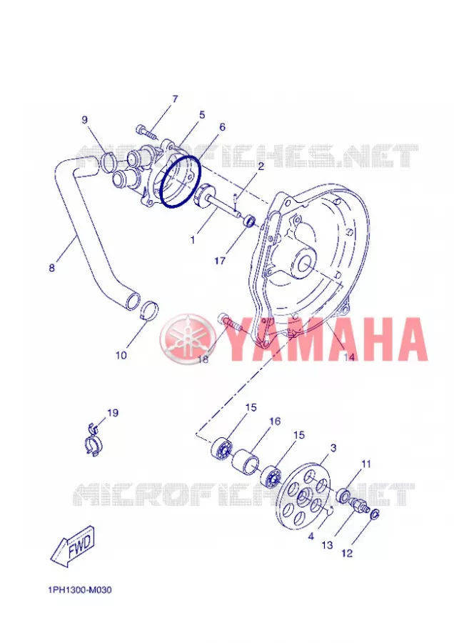 WATERPOMP / SLANGEN Yamaha SCOOTER 50 2013 NITRO NAKED  NS50N