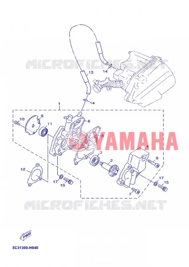 WATERPOMP / SLANGEN Yamaha SCOOTER 50 2013 OVETTO 4T  YN50F