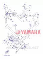 RADIATEUR / SLANG voor Yamaha YP125R 2013